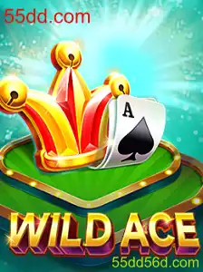 Explorando o Universo de WildAce: Descrição e Regras do Jogo Inovador